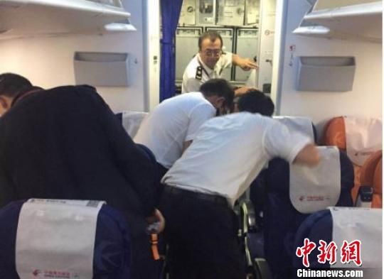昆明近日两次在入境航空器上检出大量活体蟑螂