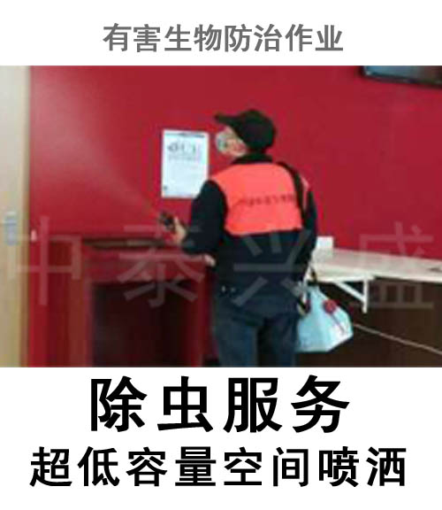 杀虫公司 除虫公司 灭蚊蝇 中泰兴盛