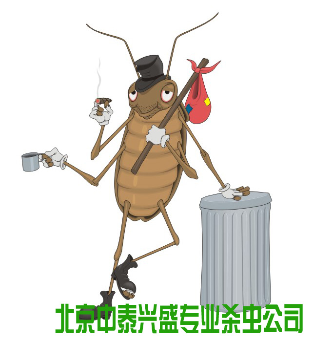 中泰兴盛 杀虫公司 除虫公司 灭虫公司 消杀公司